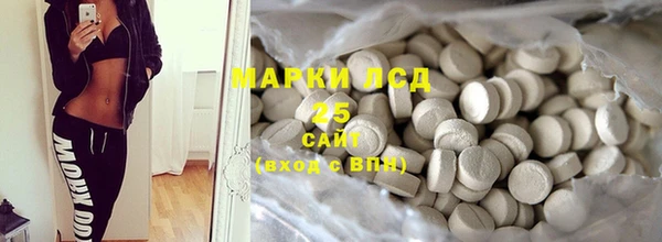 прущие грибы Абинск