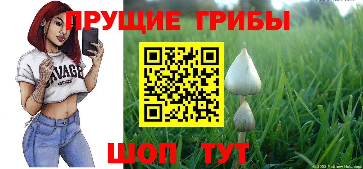 сколько стоит  Вход с VPN  Галлюциногенные грибы Psilocybine cubensis  Усинск  Галлюциногенные грибы GOLDEN TEACHER 